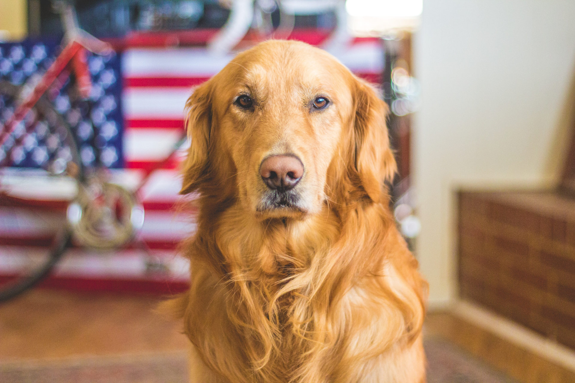 caleb-fisher-pgUbpDLJh3E-unsplash-min caleb-fisher-pgUbpDLJh3E-unsplash-min